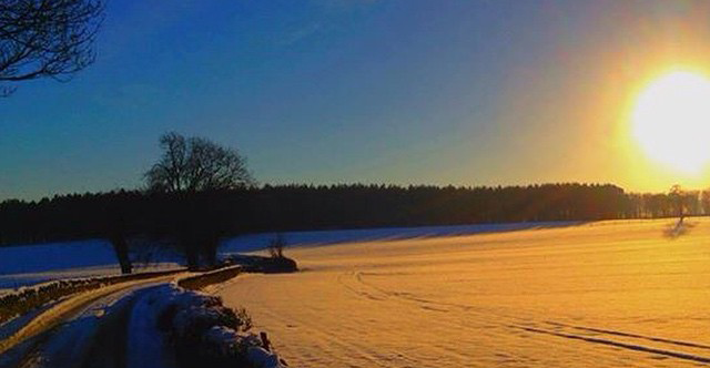 A snowy road at sunset